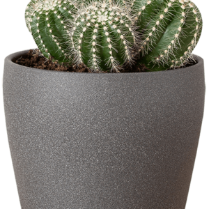 Planta 1
